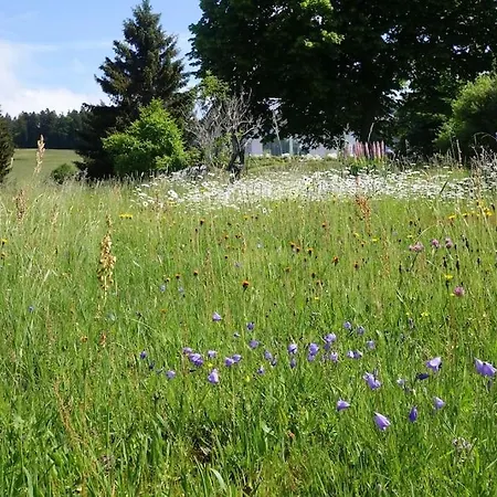 Mit Lichtem 85m² * Herrischried