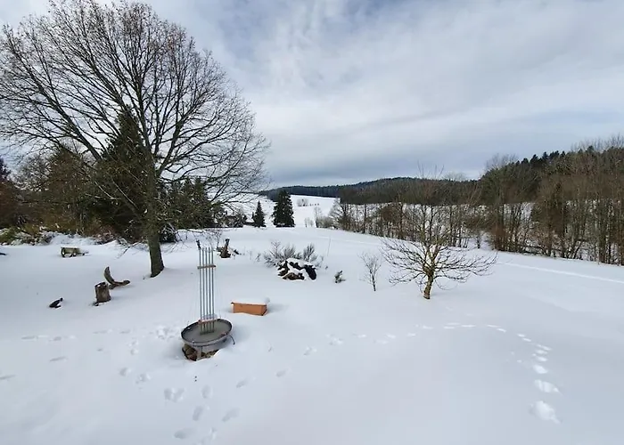 Dom wakacyjny Mit Lichtem 85m² *