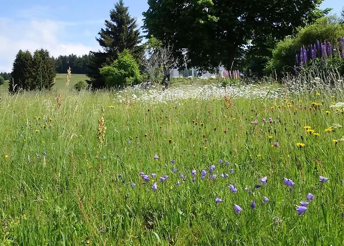 Mit Lichtem 85m² * Herrischried